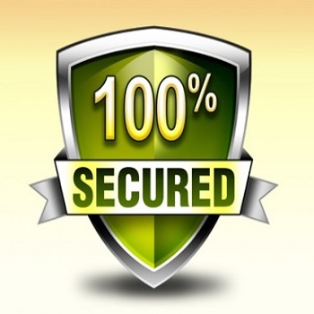 Paystub Makers security
